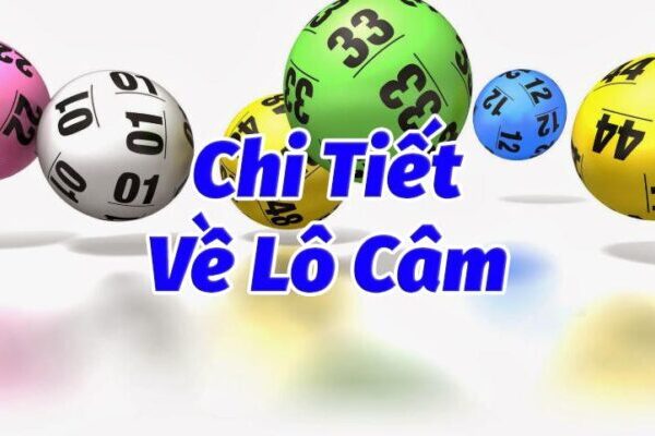 Kinh nghiệm từ tay chơi số đề lâu năm - Đầu câm đánh con gì?