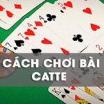 Hướng dẫn chơi Catte cho tân thủ mới tham gia