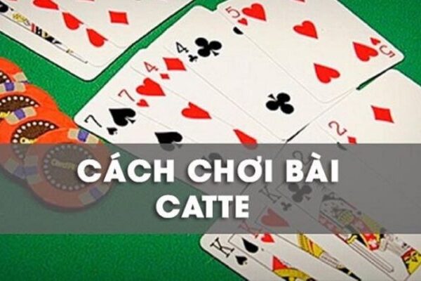 Hướng dẫn chơi Catte cho tân thủ mới tham gia