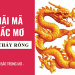 Mơ Thấy Rồng – Chốt Con Gì Để Giàu To