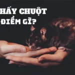 Giải Mộng Giấc Mơ Hàng Chuột Có Những Con Gì Nên Đánh Để Thắng Lớn