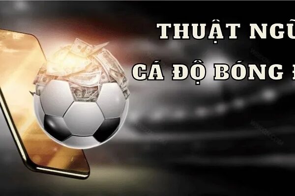 Những Thuật Ngữ Cá Độ Bóng Đá Thông Dụng Hiện Nay