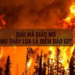 Mơ Thấy Lửa Cháy Có Phải Điềm Xấu – Đánh Số Gì May Mắn?