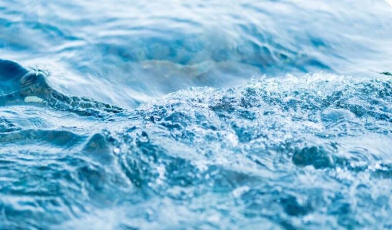 Nằm Mơ Thấy Nước Đánh Số Mấy? – Giải Mã Giấc Mơ